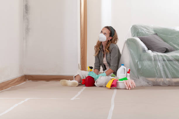 Trusted Mold Inspection service in Fairfax Station, VA - Cheap Mold Removal