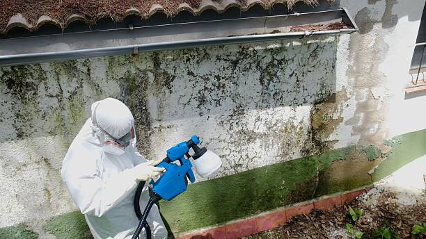 Top rated local Mold Cleanup specialists in Fairfax Station, VA